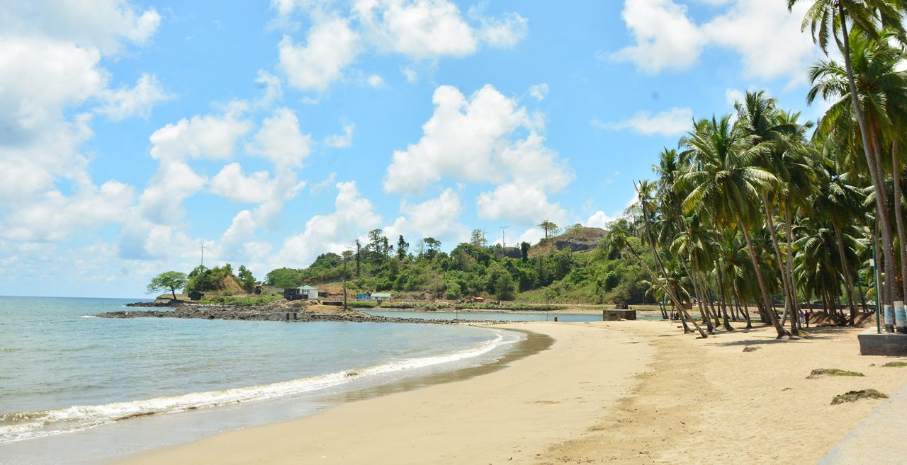 Samudrika whale skeleton