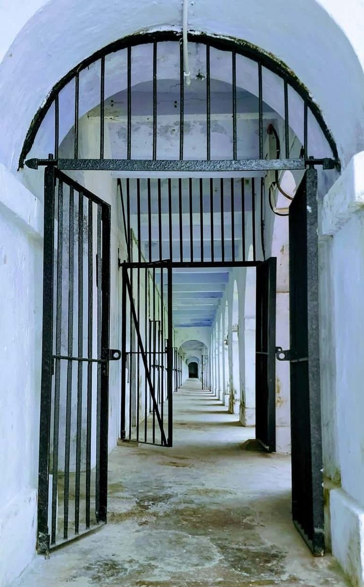 Cellular Jail cells