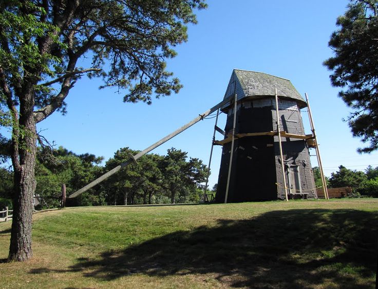 Samudrika shell collection