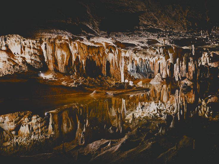 Cellular Jail light show