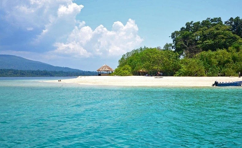 Samudrika whale skeleton