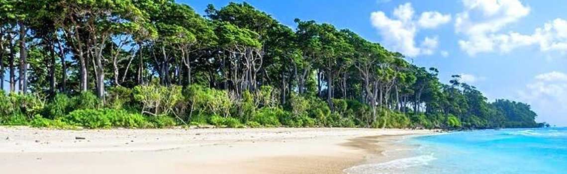 Samudrika shell collection