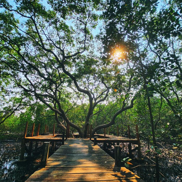 Corbyn's Cove beach view
