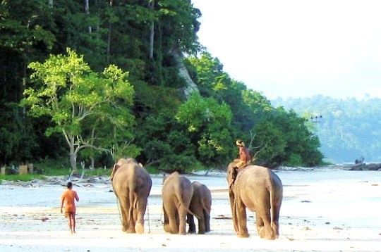 Elephant Beach View 3